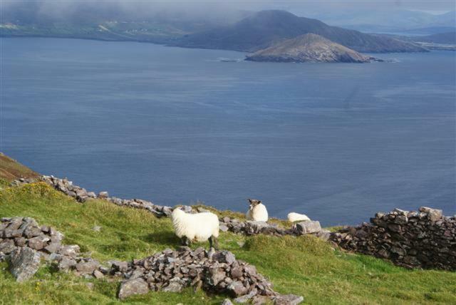 Rose Cottage Ballinskelligs Eksteriør bilde