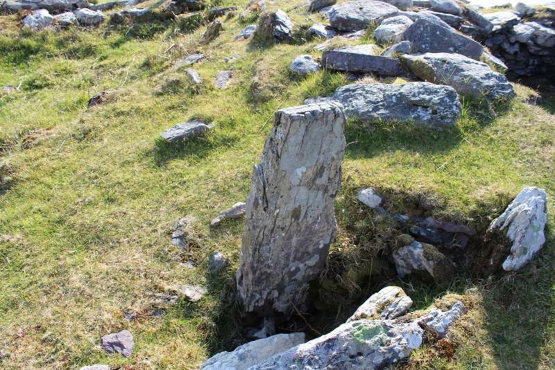 Rose Cottage Ballinskelligs Eksteriør bilde