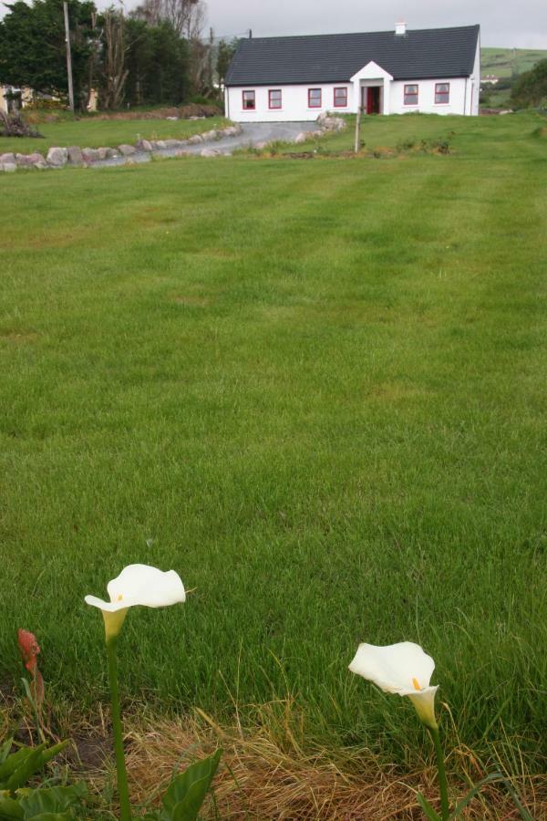 Rose Cottage Ballinskelligs Eksteriør bilde